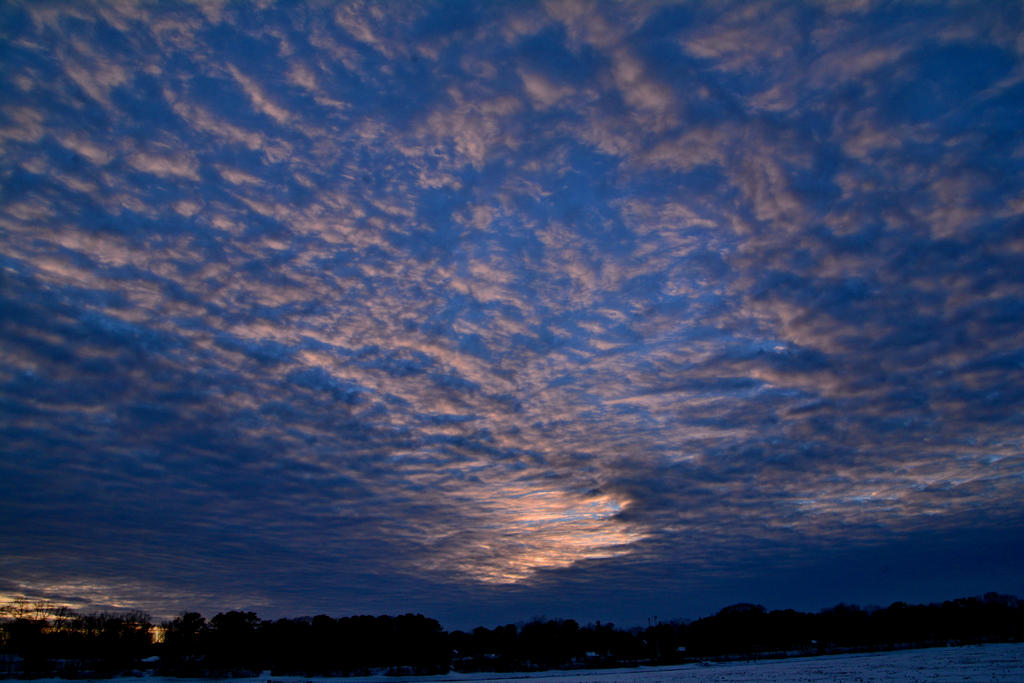 DSC_8749.jpg