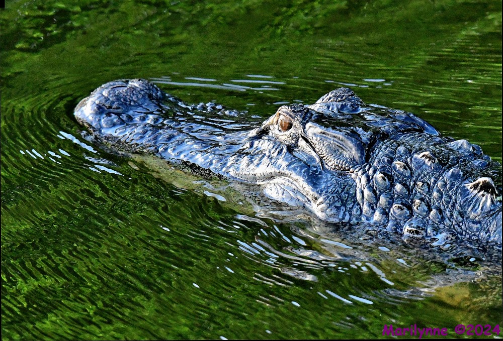 DSC_8755_stitch_001.JPG