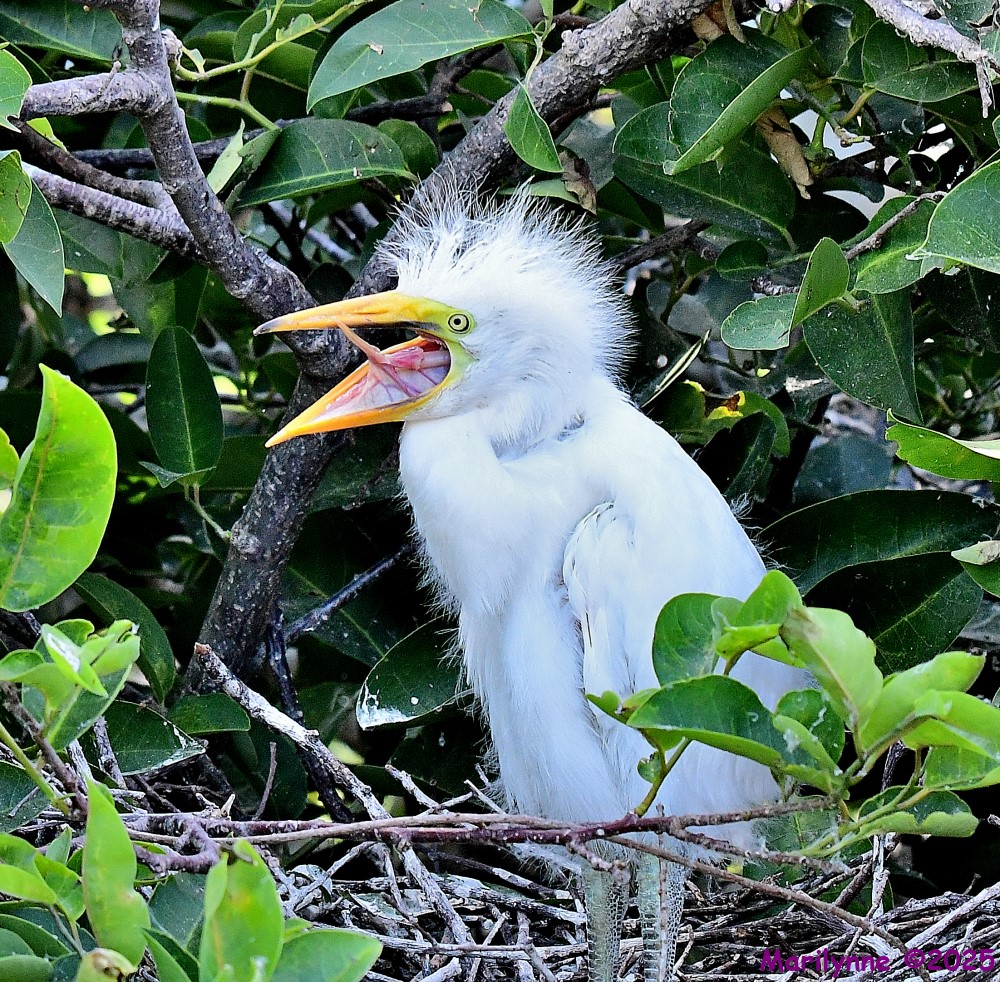 DSC_8759_001.JPG