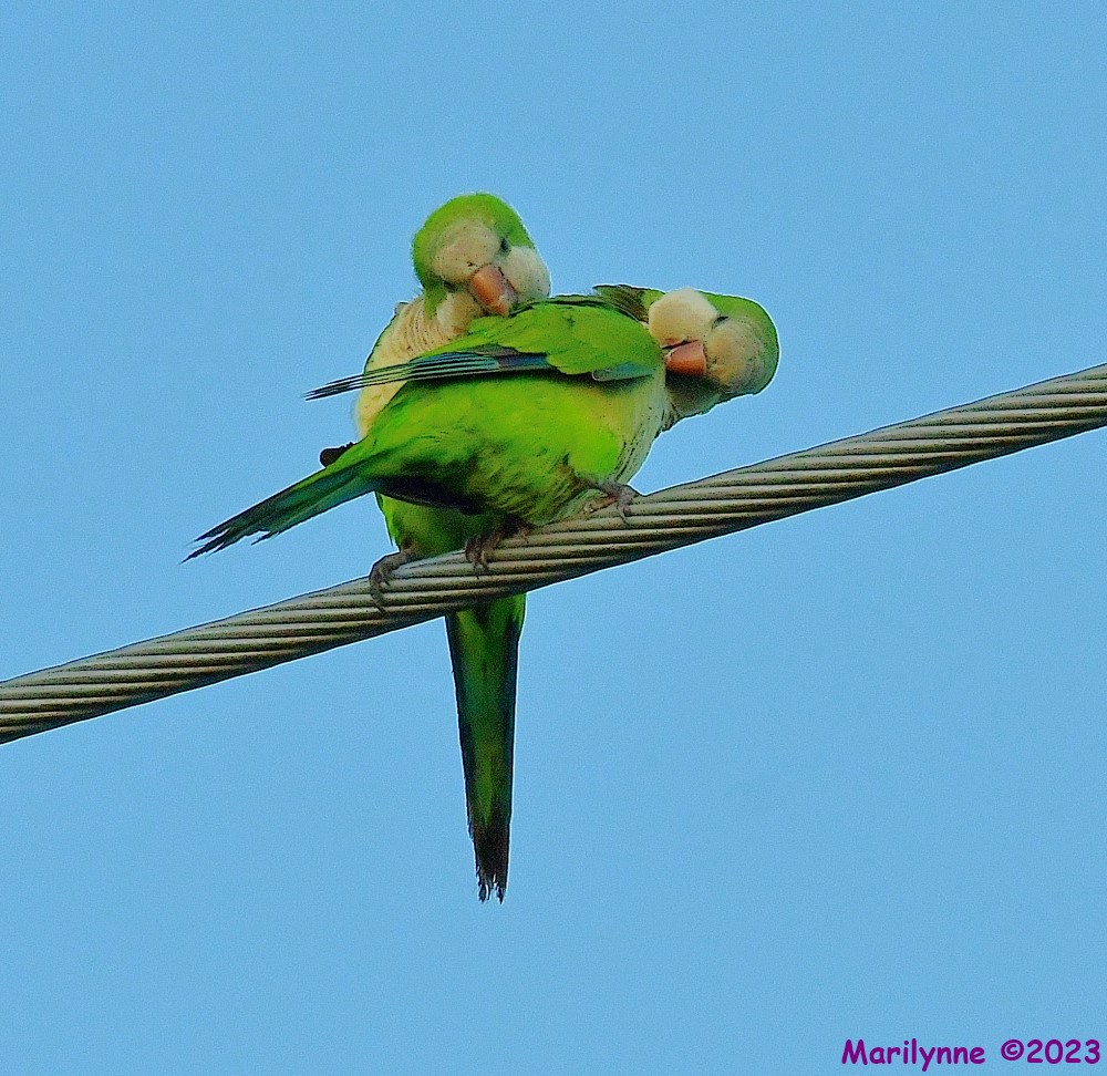 DSC_8760_001.JPG