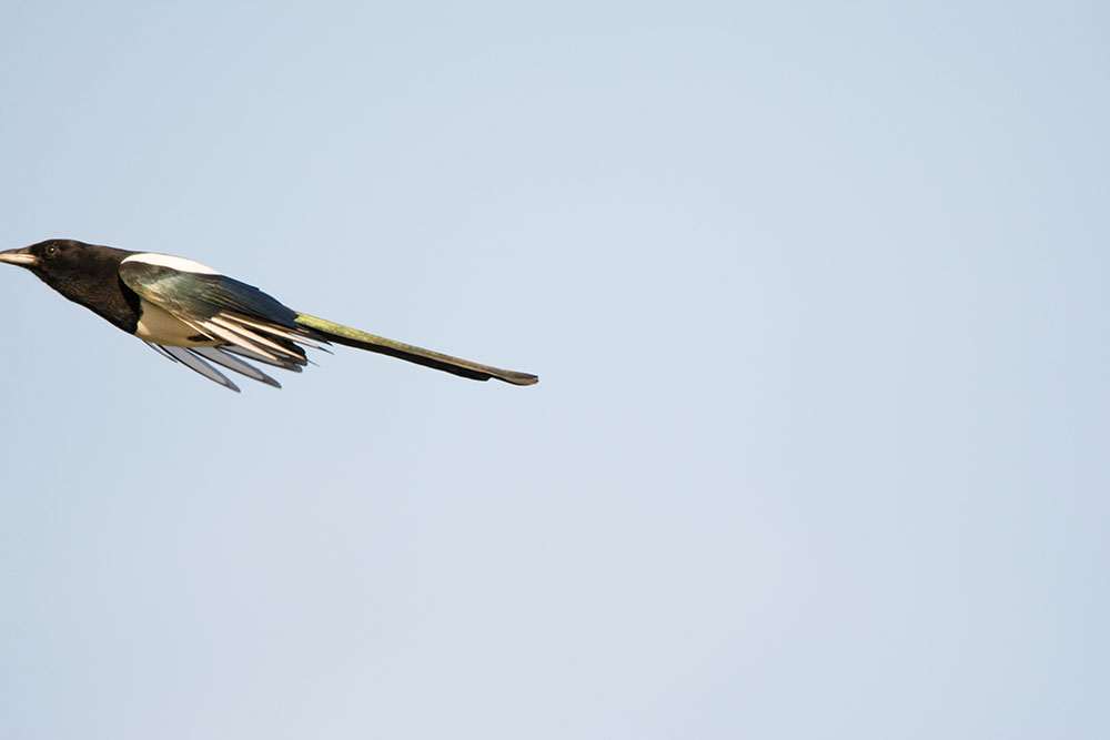 DSC_8761.jpg