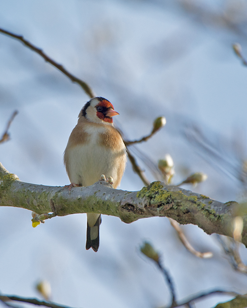 DSC_8762.jpg