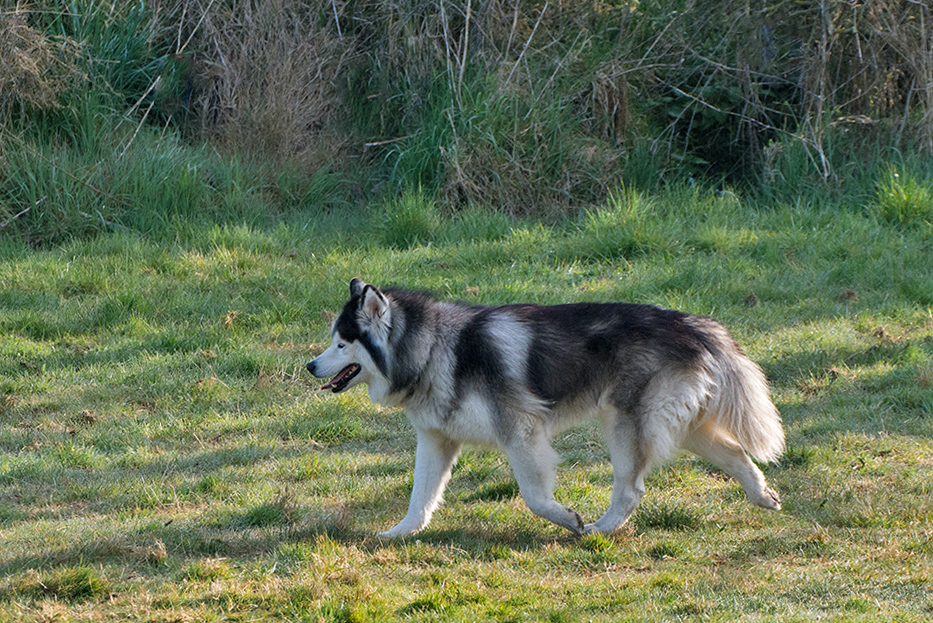 DSC_8763.jpg