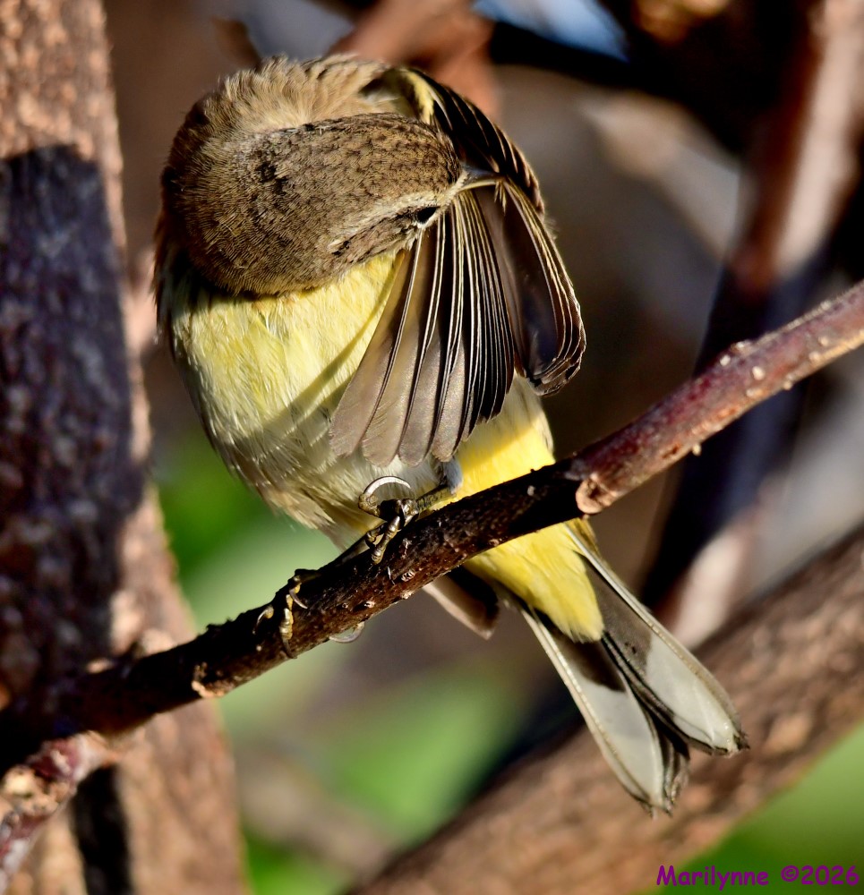 DSC_8763_001.JPG