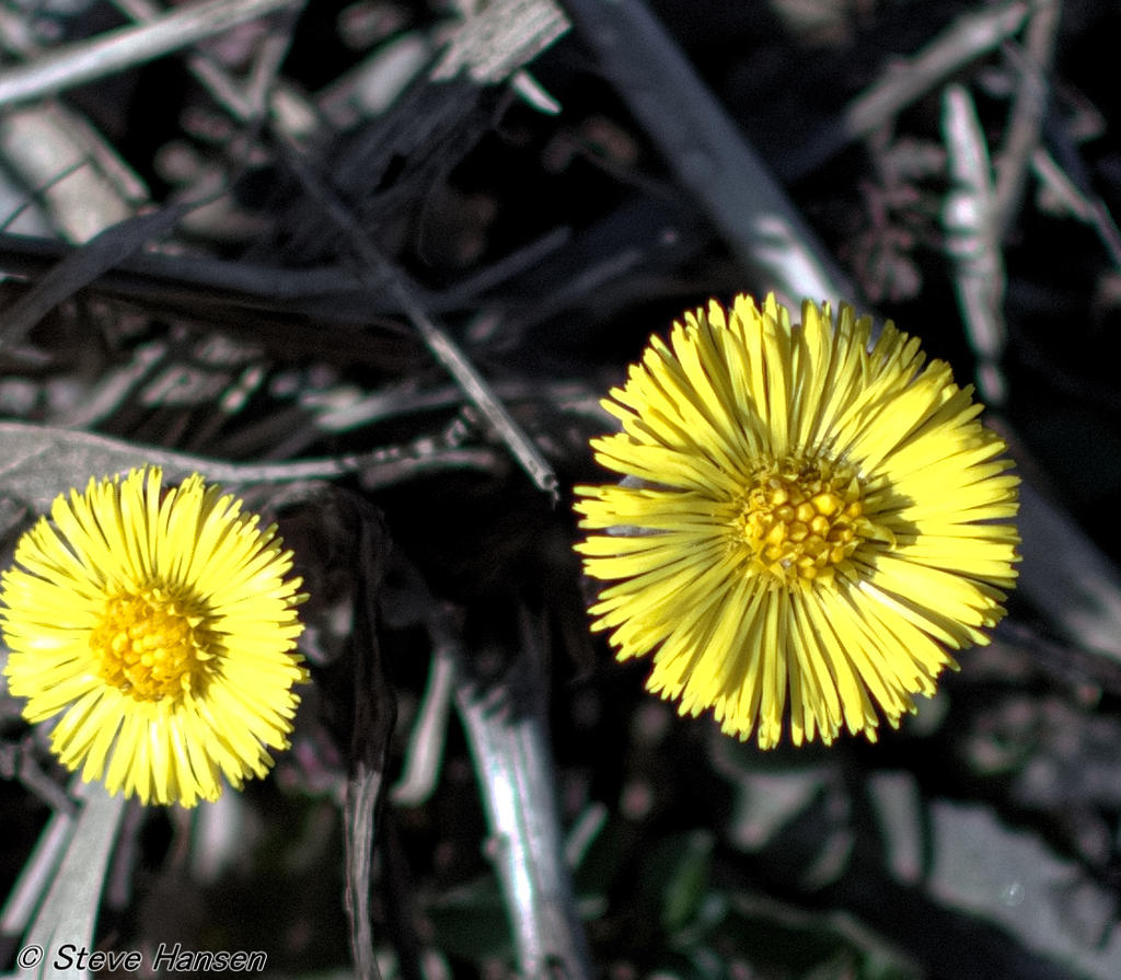 DSC_8764.jpg