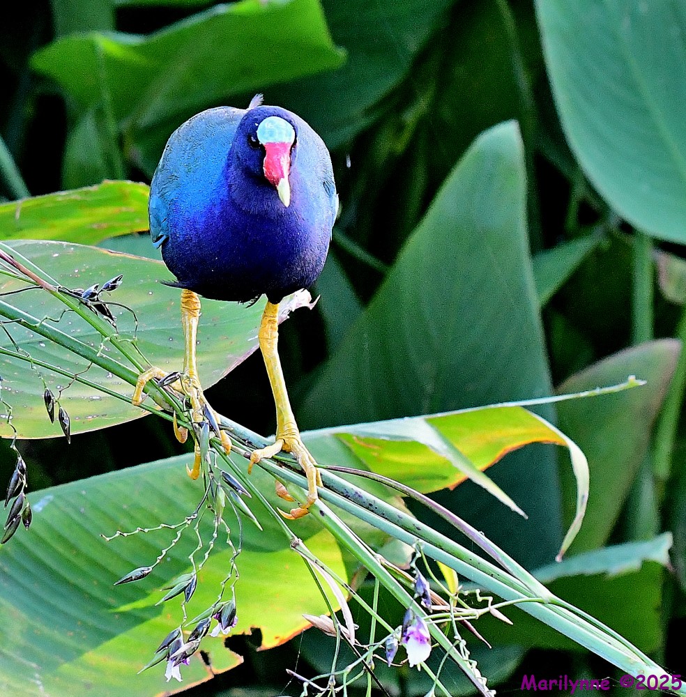 DSC_8764_001.JPG