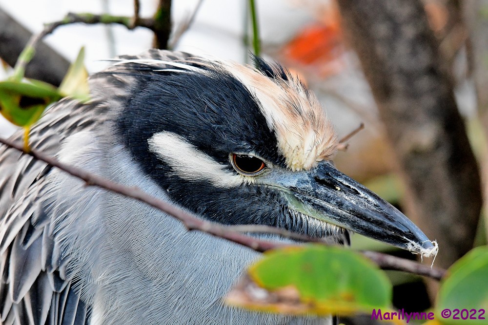 DSC_8770_001.JPG
