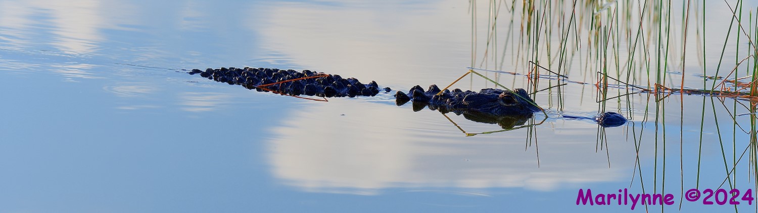 DSC_8774_stitch3_001.JPG