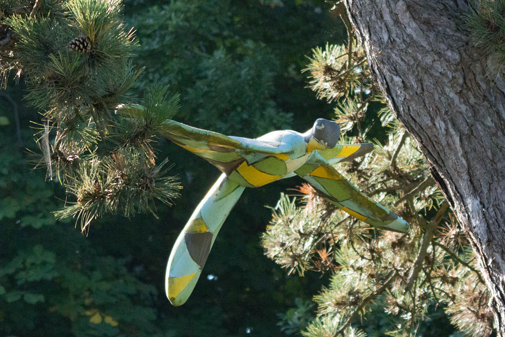 DSC_8777.jpg