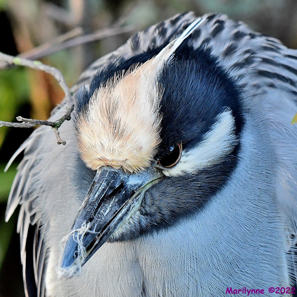 DSC_8780_001.JPG