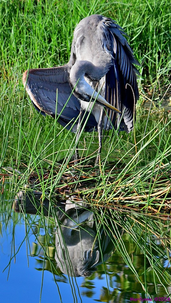 DSC_8781_001.JPG