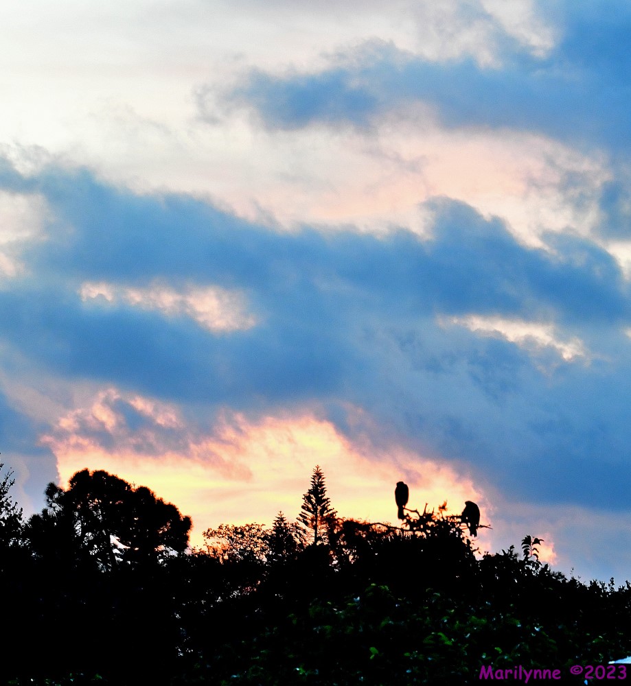 DSC_8782_001.JPG