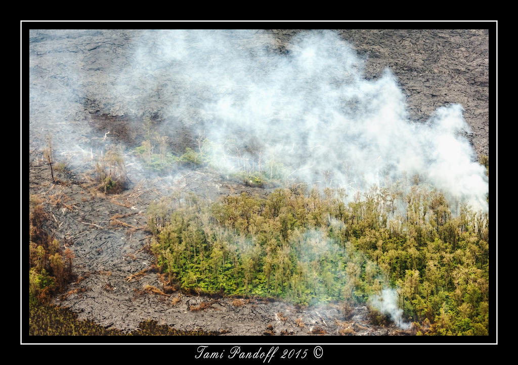 DSC_8784.jpg