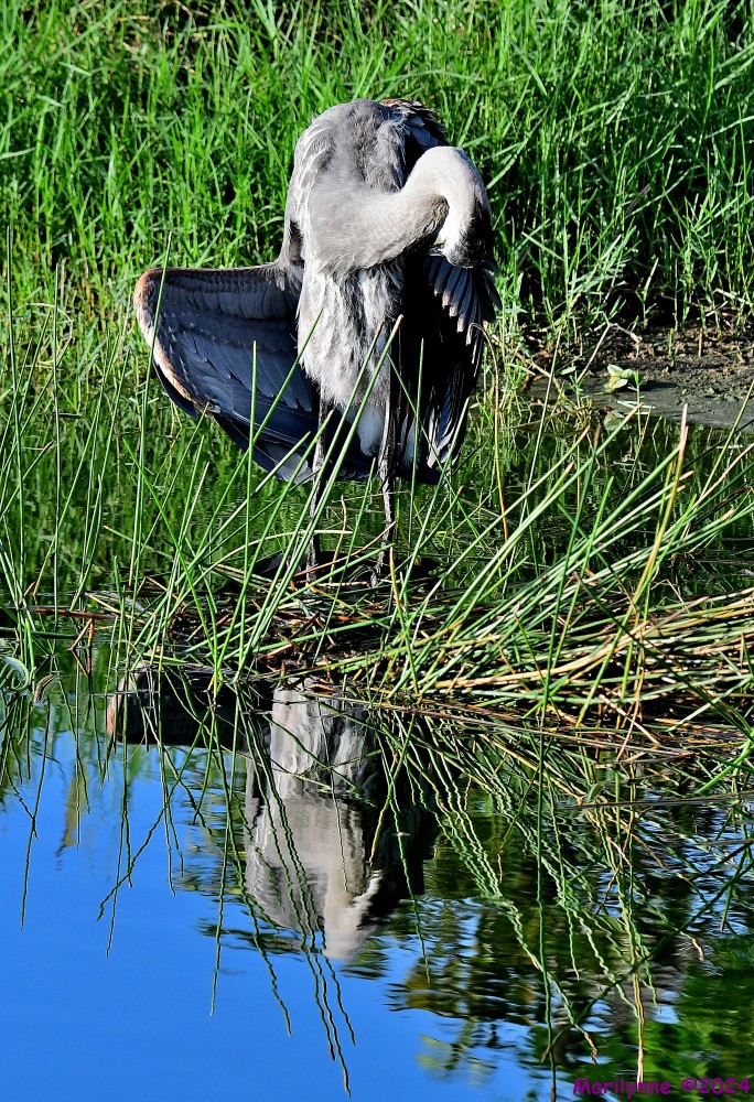 DSC_8784_stitch4_001.JPG