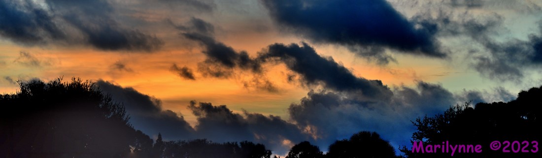 DSC_8784_stitch8_001.JPG