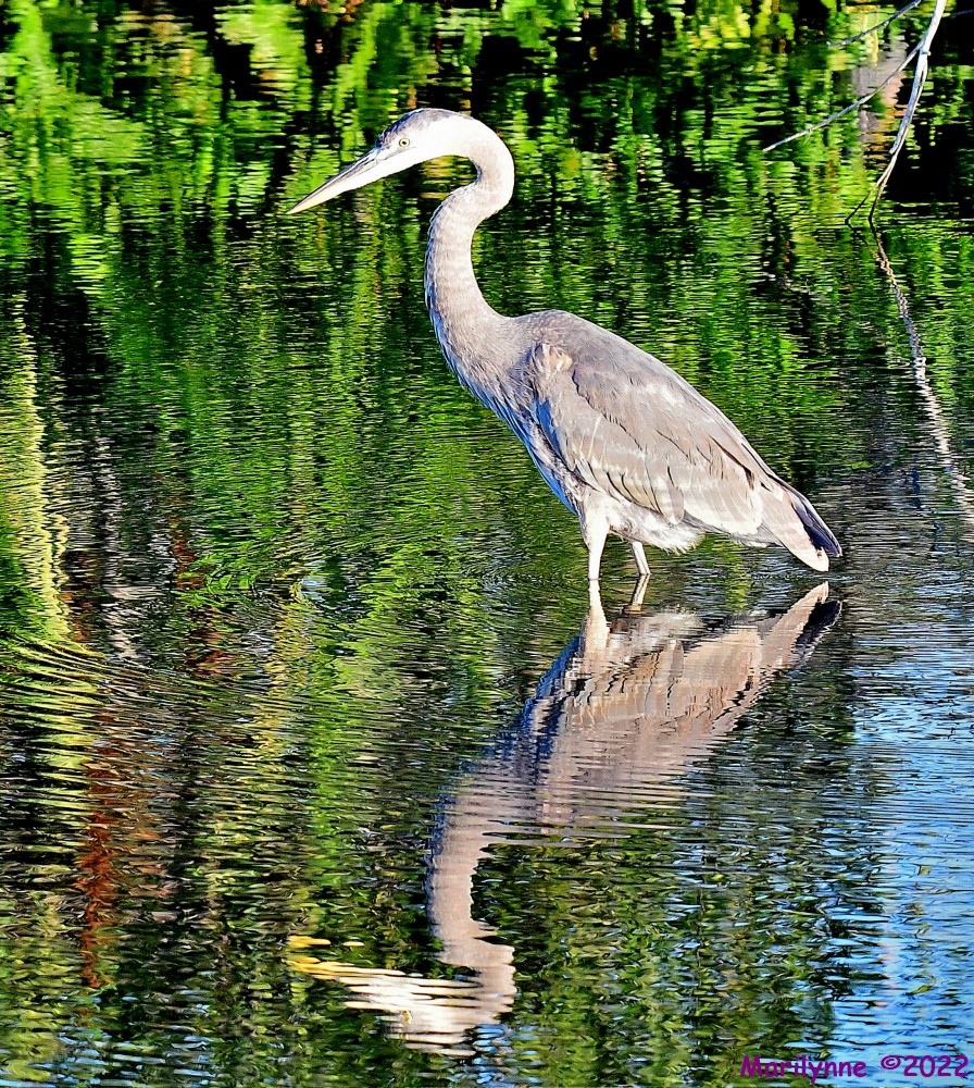 DSC_8799_001.JPG
