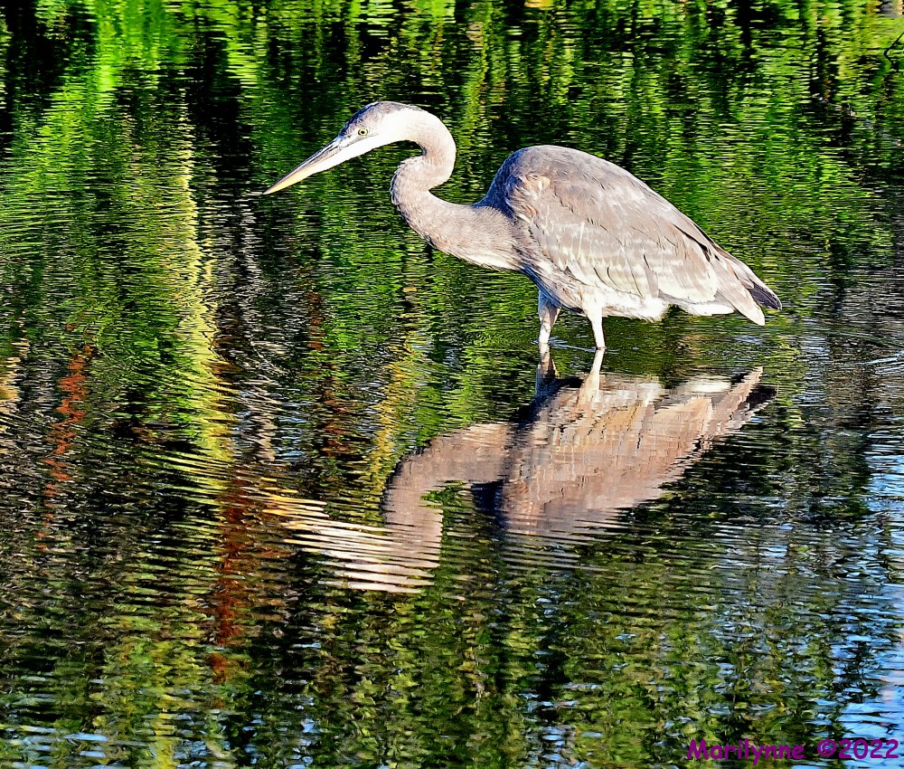 DSC_8800_001.JPG