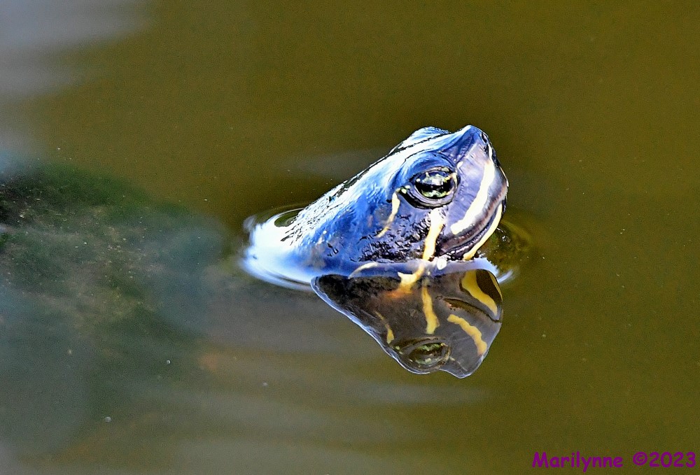 DSC_8801_001.JPG