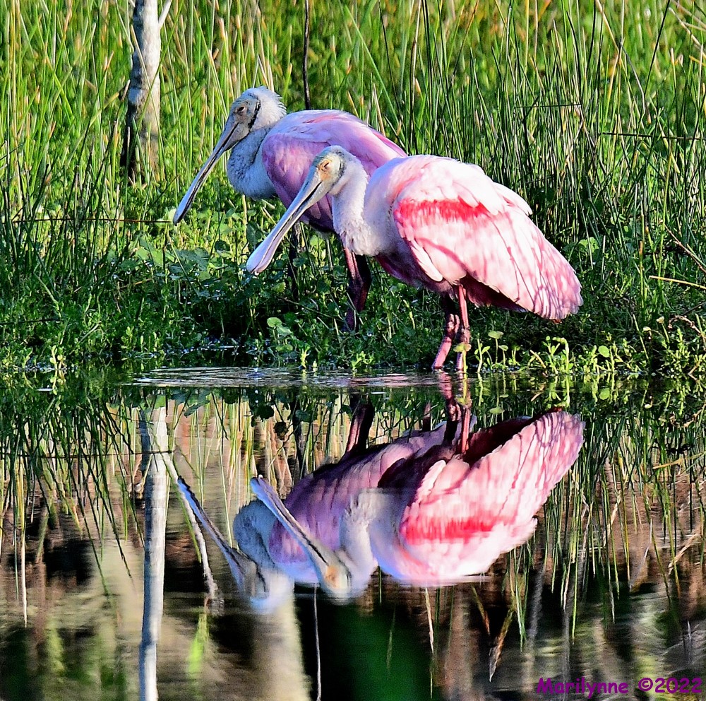 DSC_8802_001.JPG