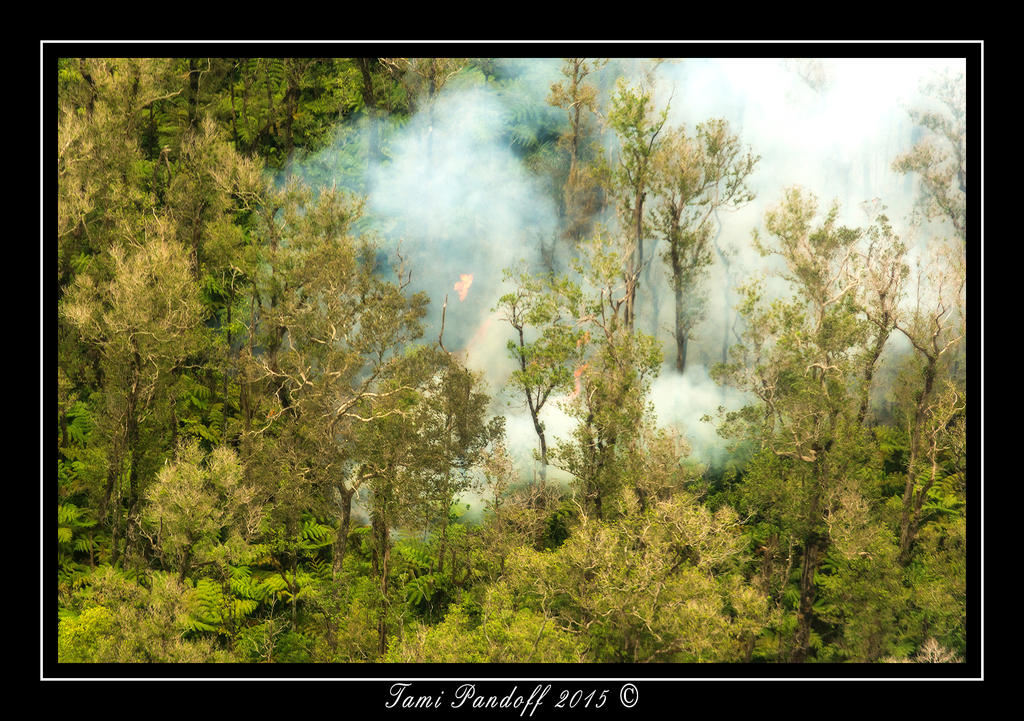 DSC_8804.jpg