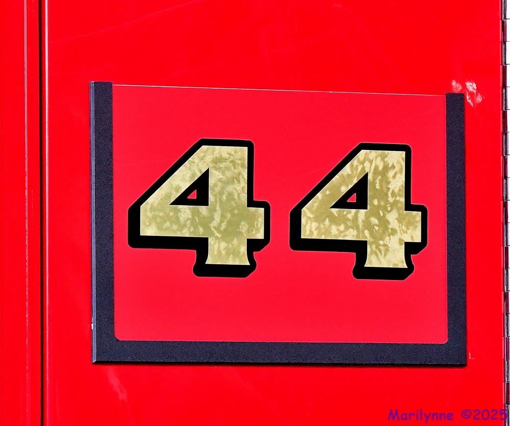 DSC_8810_001.JPG