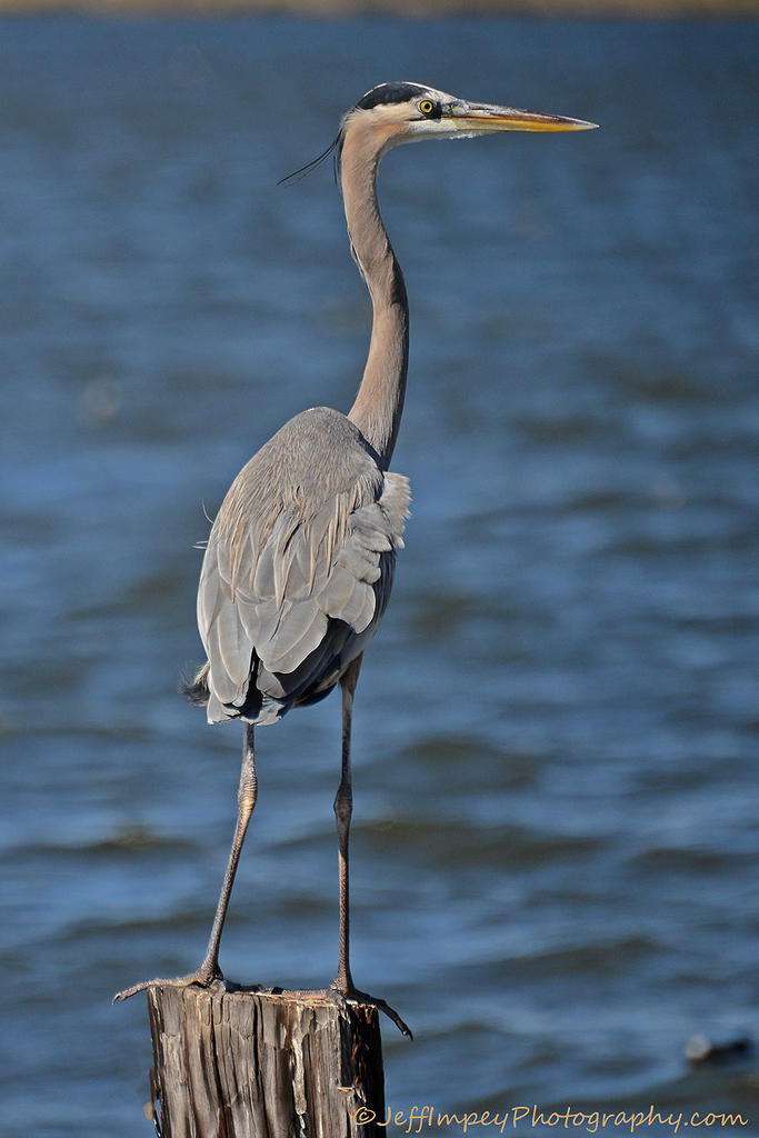 DSC_8811.jpg