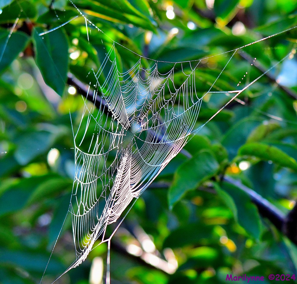 DSC_8813_001.JPG