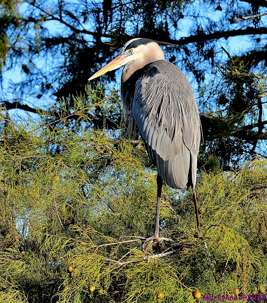 DSC_8814_001.JPG