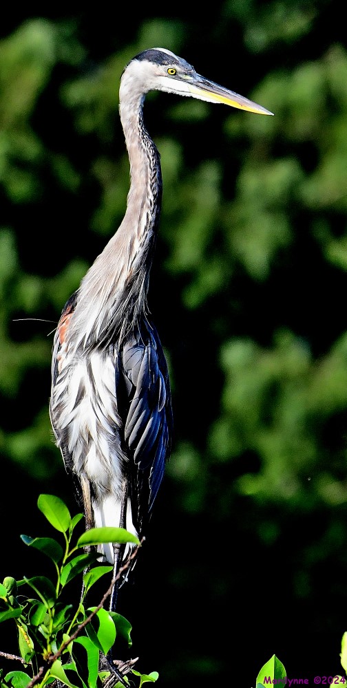 DSC_8814_001.JPG