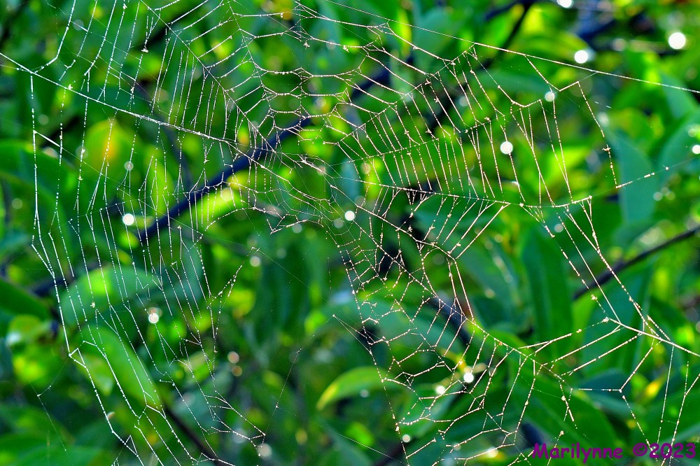 DSC_8814_stitch_001.JPG