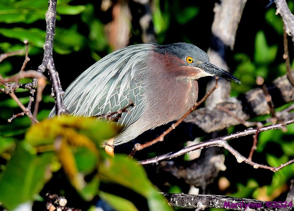 DSC_8815_001.JPG