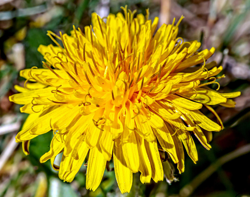 DSC_8816-Edit.jpg