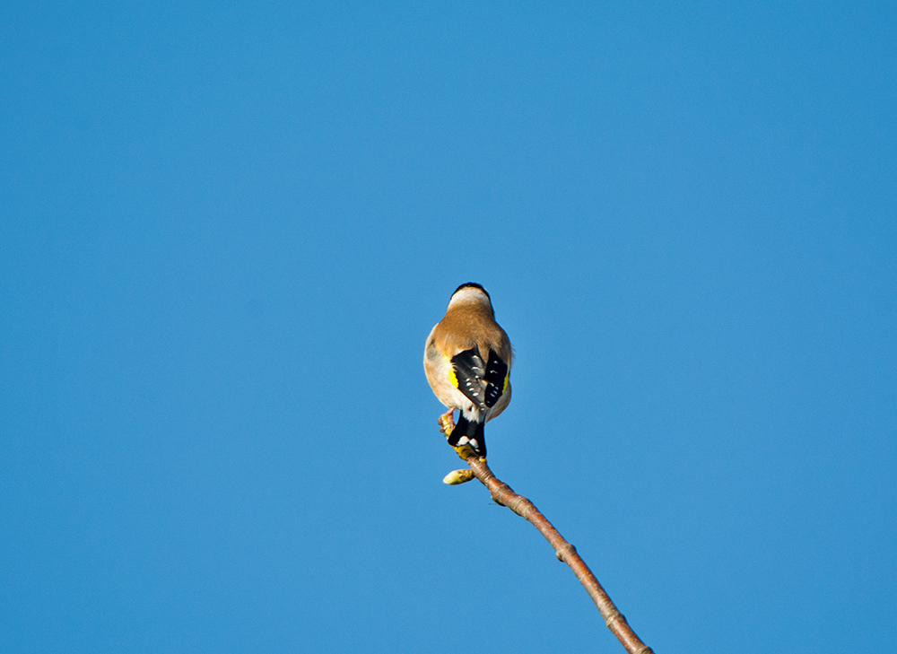 DSC_8817.jpg