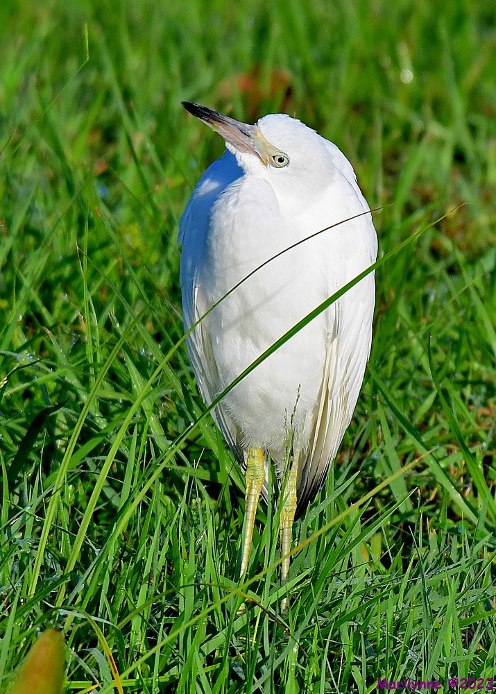 DSC_8818_001.JPG