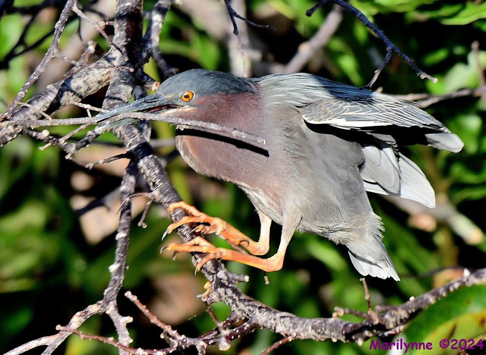 DSC_8819_001.JPG