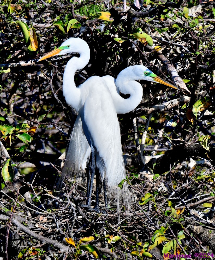 DSC_8821_001.JPG