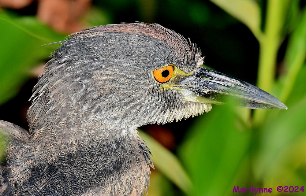 DSC_8821_001.JPG