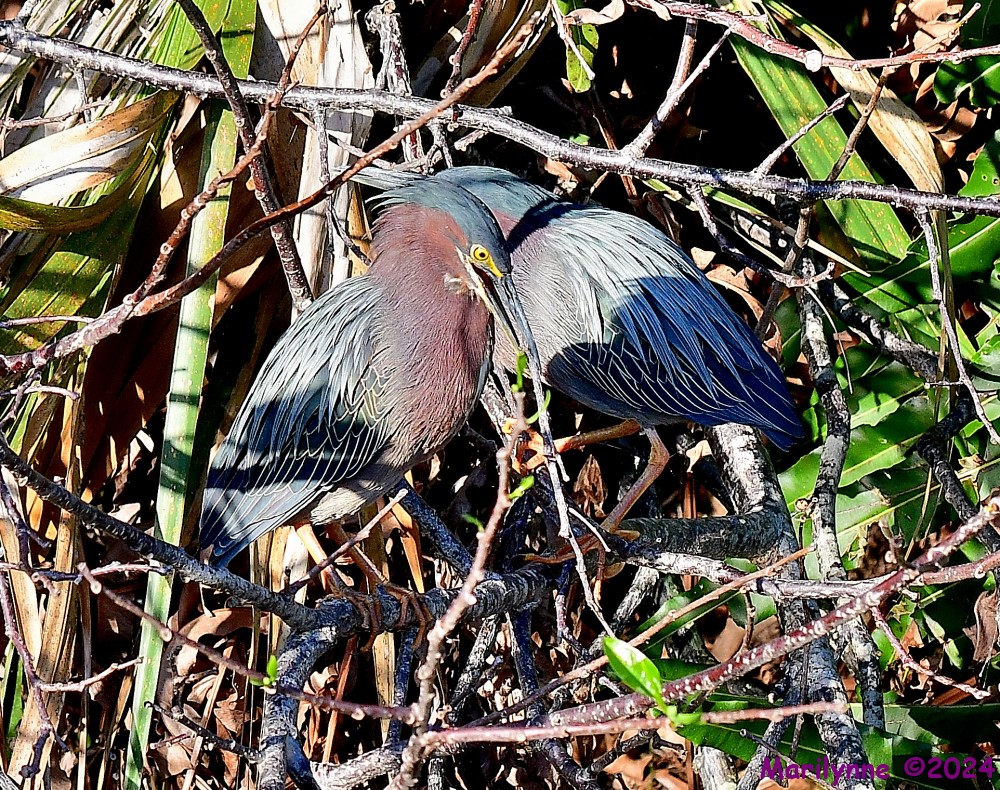 DSC_8822_001.JPG