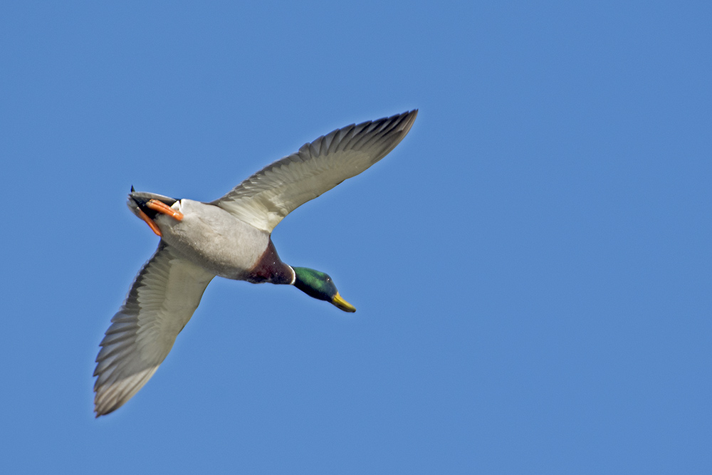DSC_8823.jpg