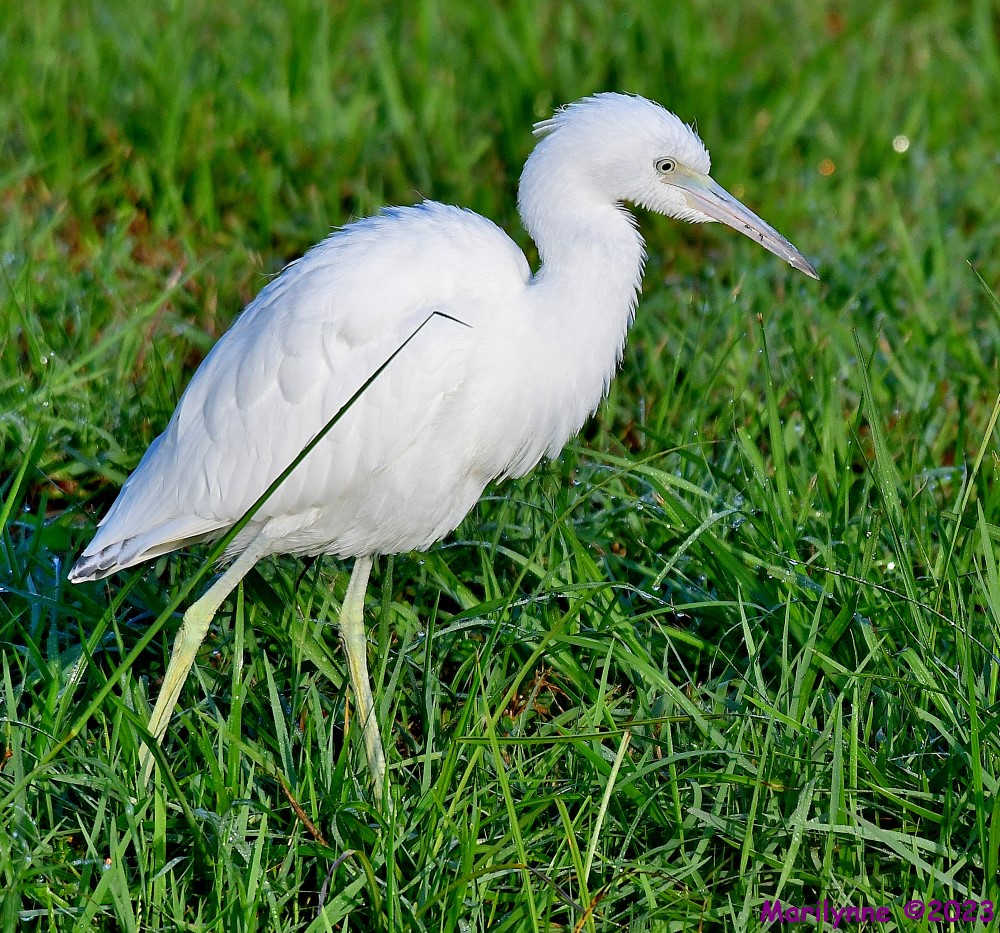 DSC_8823_001.JPG