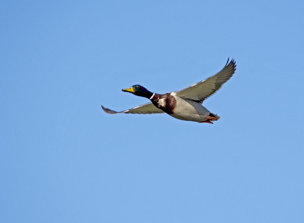 DSC_8825.jpg