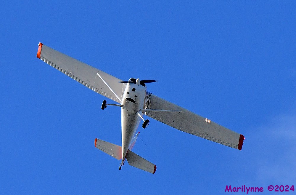 DSC_8825_001.JPG