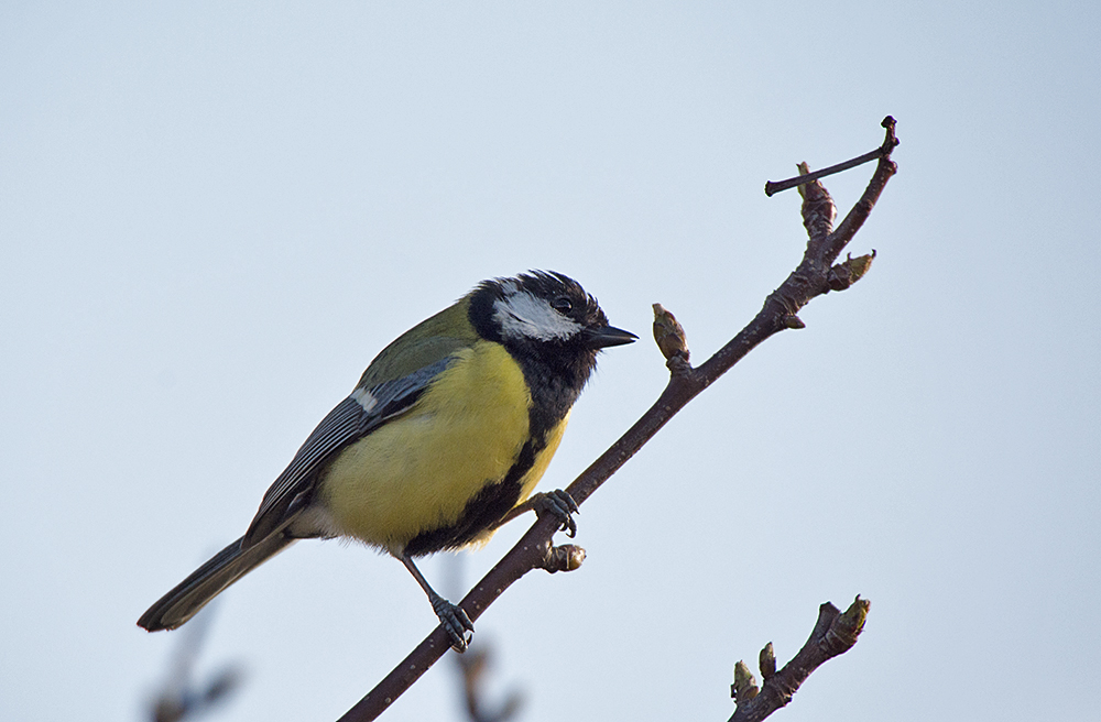 DSC_8826.jpg