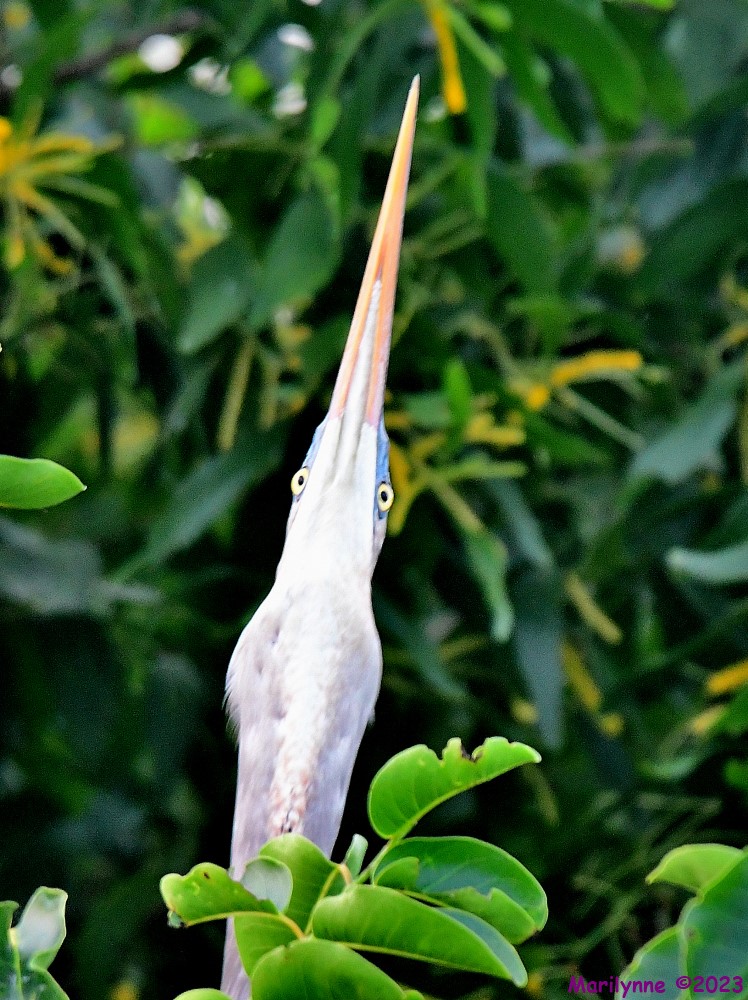 DSC_8826_001.JPG
