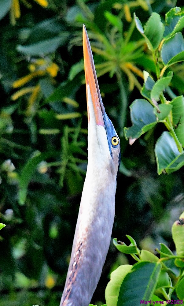 DSC_8828_001.JPG