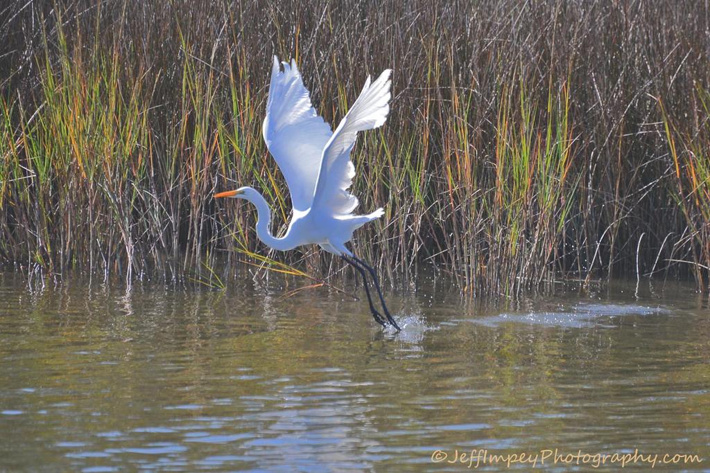 DSC_8829.jpg