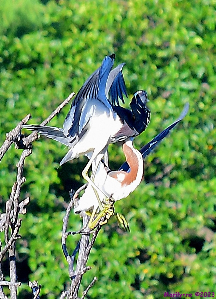 DSC_8834_001.JPG