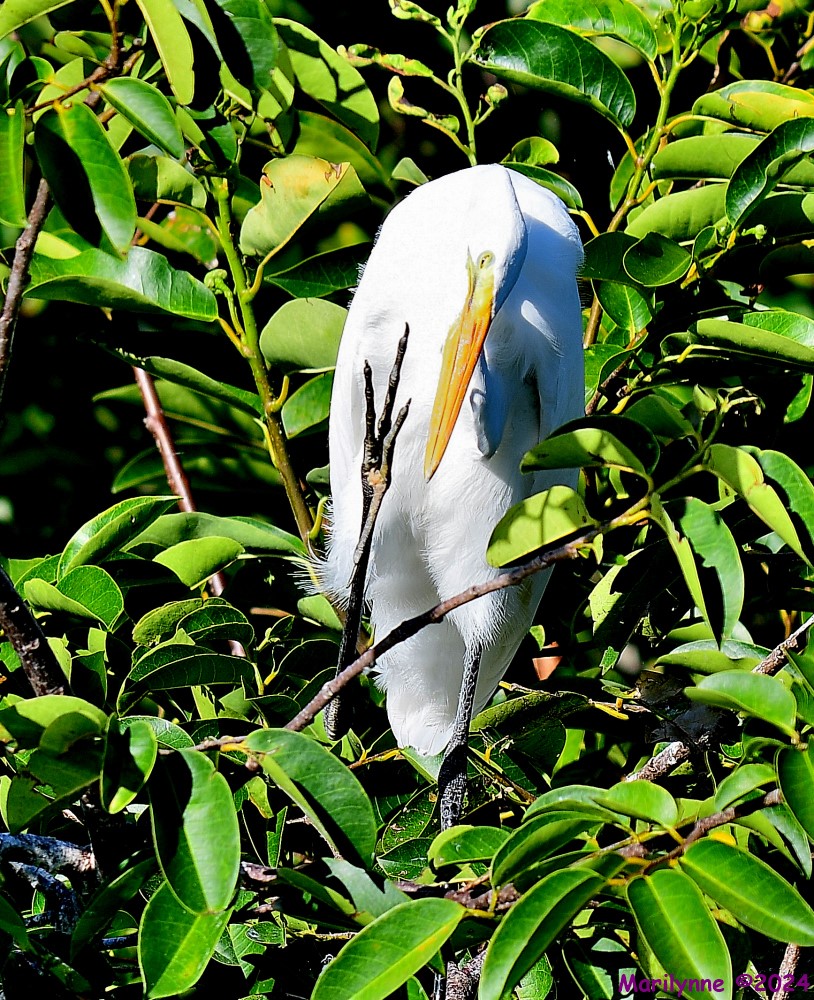 DSC_8834_001.JPG