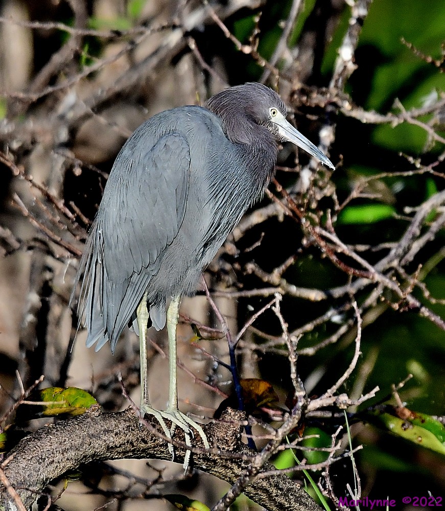 DSC_8836_001.JPG