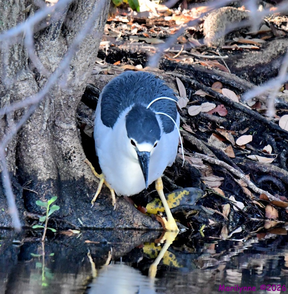 DSC_8836_001.JPG